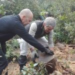 Ação de voluntariado no Bussaco pretende diminuir rasto deixado pela Leslie