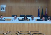 Anadia avança para construção de Centro de Recolha Oficial de Animais de Companhia