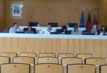Quatro associações em Anadia farão vigilância florestal em freguesias prioritárias