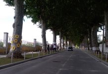 Cidade de Anadia engalanada para receber “Feira da Vinha e do Vinho”