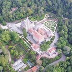 Bosque, em homenagem a Nelson Mandela, vai ser criado no Bussaco