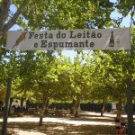 Curia recebe, este fim-de-semana, Festa do Leitão e do Espumante