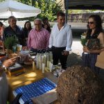 Depois do fim-de-semana, Feira do Mel & Pão, no Luso, continua a 15 de agosto