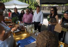 Depois do fim-de-semana, Feira do Mel & Pão, no Luso, continua a 15 de agosto
