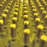 “Aqui na Bairrada – Beber e Saborear 2019” é EcoEvento