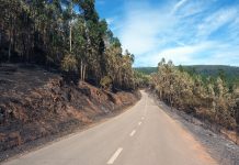 Agradecimento público aos apoios no combate ao fogo em Santa Cristina