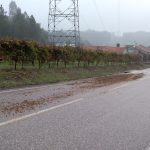 Estrume de galinha espalhado em estrada que liga Cavaleiros a Ferraria