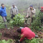 3.º Living Bussaco comemora Dia da Floresta Autóctone no final do Sement Event 2019