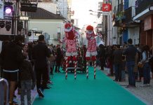 Parada de Natal animou cidade da Mealhada
