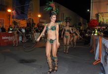 Plataforma digital facilita busca de informações sobre o Carnaval da Mealhada