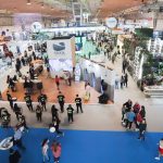 BTL adiada para final de maio de 2020