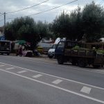 Câmara da Mealhada proíbe Feira de Santa Luzia