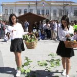 Dia Mundial da Poesia assinalado pelas escolas de Anadia