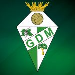 GDM reúne em assembleia-geral ordinária por videoconferência