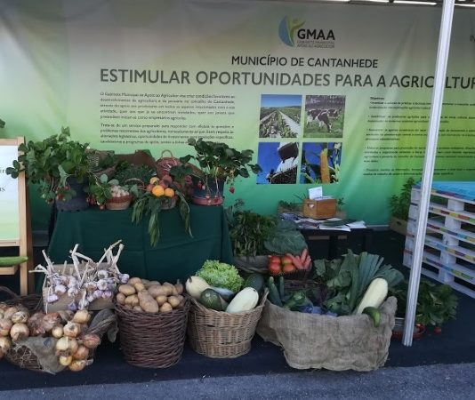 Campanha “Da Terra à Mesa” vai ser lançada pelo Município de Cantanhede