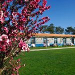 ‘Small Portuguese Hotels’ para visitar em segurança o melhor de Portugal