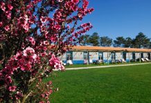 ‘Small Portuguese Hotels’ para visitar em segurança o melhor de Portugal