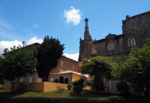 Buçaco luta contra «cenário de guerra» deixado pelas últimas tempestades