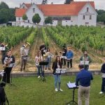 Feira da Vinha e do Vinho 2020 online começa este sábado