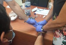 Município da Mealhada vai testar todos os funcionários da Autarquia