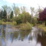 Centro de Interpretação Ambiental da Mealhada reabre com atividades ao ar livre