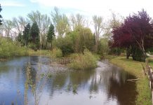 Centro de Interpretação Ambiental da Mealhada reabre com atividades ao ar livre