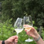Feira da Vinha e do Vinho de Anadia online termina com balanço positivo