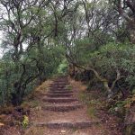 Ministro do Ambiente anuncia investimento de 500 mil euros para o Bussaco