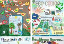 Anadia participa no concurso nacional “Poster Eco-Código”
