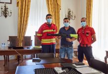 Câmara da Mealhada adquire arma para eliminar vespa velutina