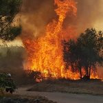 Identificados, em Cantanhede, por incêndio florestal