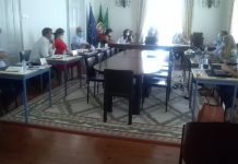 Câmara mantém Declaração de Interesse Municipal para concordância ferroviária