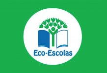 Bandeira Verde atribuída a 11 escolas do concelho de Anadia