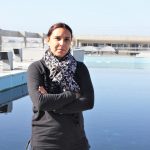 Aves marinhas fortemente afetadas por lixo da pesca