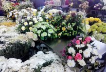 Anadia: Mercado das Flores aberto a 30 de outubro