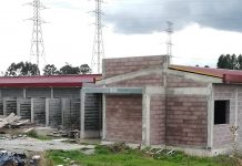 Anadia cria regulamento de funcionamento e atividade do Centro de Recolha de Animais