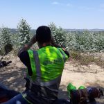 Balanço positivo na vigilância florestal no concelho de Anadia