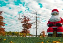 Iluminações de Natal em Águeda vão ser ligadas no próximo sábado