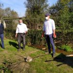 Águeda: Plantação de seis amieiros assinala Dia da Floresta Autóctone