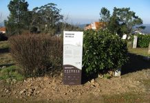 Região de Coimbra instala os primeiros painéis informativos sobre as Rotas Napoleónicas