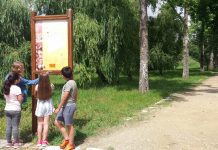 Mealhada: 26 mil participantes em atividades do Centro de Interpretação Ambiental