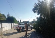 Proteção Civil Municipal de Cantanhede destruiu 436 ninhos de vespa velutina