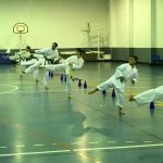 Gala Desportiva da Mealhada presta homenagem aos 16 clubes do concelho