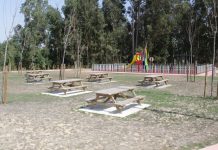 Miradouro está a ser construído no Ecoparque de Sangalhos