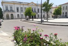 Município de Anadia investe cerca de 100 mil euros em apoios às famílias