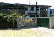 Pampilhosa já tem local para recolha de “monos”