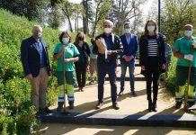 Câmara de Águeda plantou 7.150 árvores