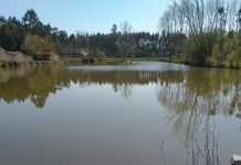 Município de Anadia atribui apoio para manutenção da Lagoa de Chipar de Cima