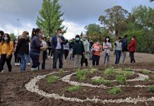 Onze Eco-Escolas na Mealhada hastearam bandeira do ambiente