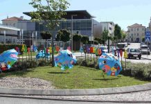 “Afetos” dão colorido diferente à cidade de Anadia